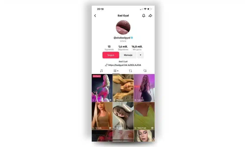 bad gyal tiktok